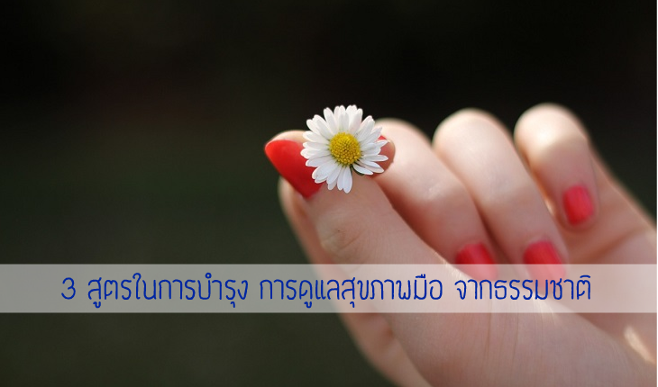 3 สูตรในการบำรุง การดูแลสุขภาพมือ จากธรรมชาติ